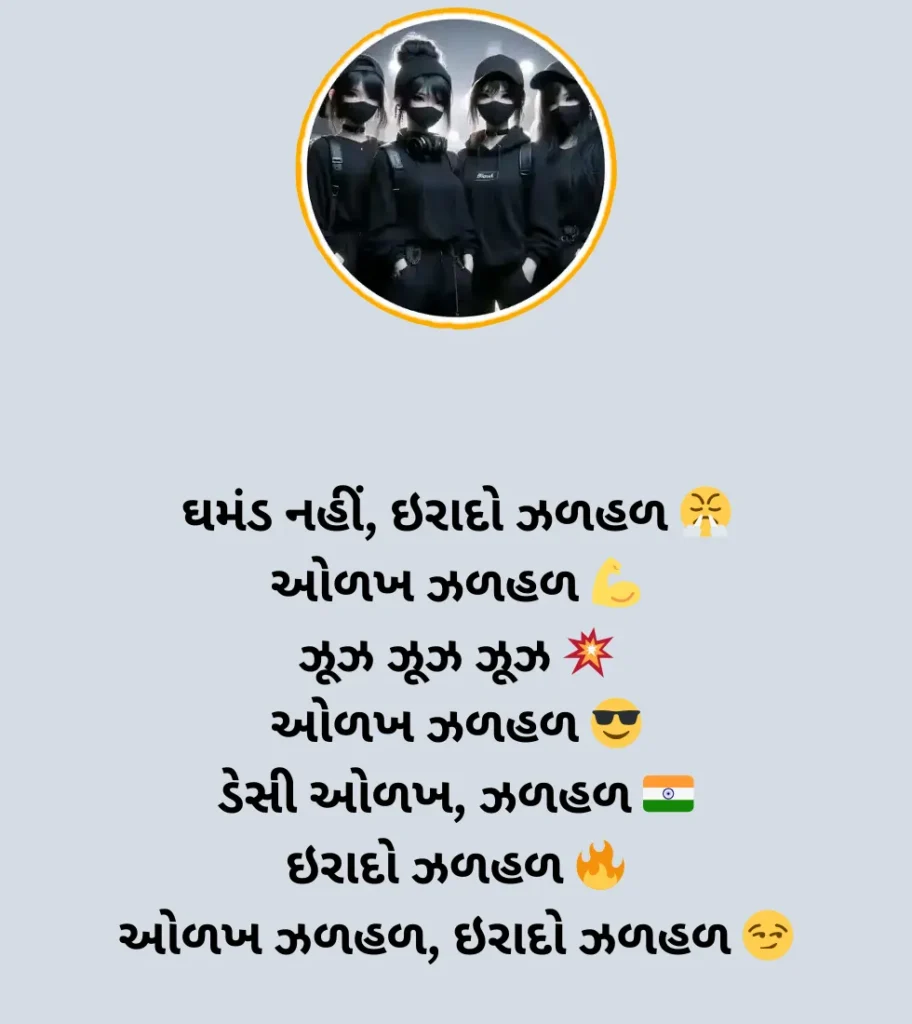 instagram bio gujarati 3