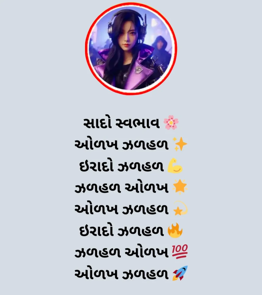 instagram bio gujarati 4