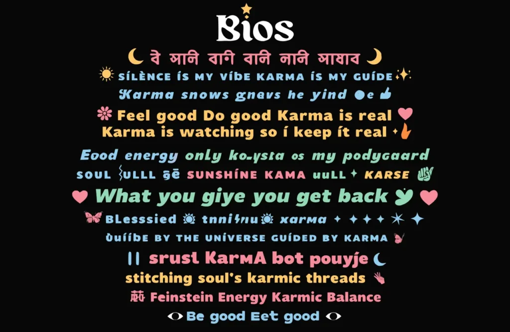 karma bio for instagram stylish font